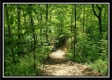 Tract 5 - Perry Retreat property photo