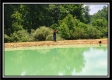 More of Tract 5 - Perry Retreat