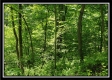 Tract 5 - Perry Retreat property photo