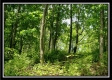 Tract 5 - Perry Retreat property photo