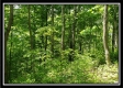 Tract 5 - Perry Retreat property photo