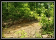 Tract 5 - Perry Retreat property photo