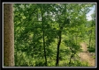 Tract 5 - Perry Retreat property photo