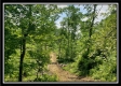 Tract 5 - Perry Retreat property photo
