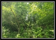 Tract 5 - Perry Retreat property photo