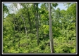 Tract 5 - Perry Retreat property photo