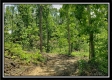 Tract 5 - Perry Retreat property photo