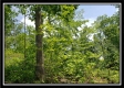 Tract 5 - Perry Retreat property photo