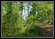 Tract 5 - Perry Retreat property photo