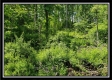 Tract 5 - Perry Retreat property photo