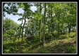 Tract 5 - Perry Retreat property photo