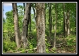 Tract 5 - Perry Retreat property photo