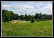 More of Tract 5 - Perry Retreat