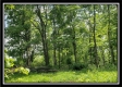 Tract 5 - Perry Retreat property photo