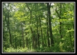 Tract 5 - Perry Retreat property photo