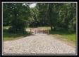 More of Tract 5 - Perry Retreat