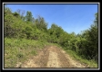 Tract 4 – Wayne National Retreat property photo