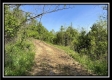 Tract 4 – Wayne National Retreat property photo