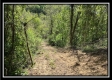 Tract 4 – Wayne National Retreat property photo