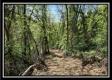 Tract 4 – Wayne National Retreat property photo