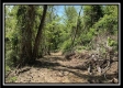 Tract 4 – Wayne National Retreat property photo