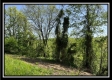 Tract 4 – Wayne National Retreat property photo