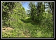 Tract 4 – Wayne National Retreat property photo