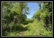 Tract 4 – Wayne National Retreat property photo