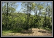 Tract 4 – Wayne National Retreat property photo
