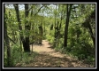 Tract 4 – Wayne National Retreat property photo