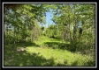 Tract 4 – Wayne National Retreat property photo