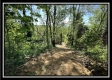 Tract 4 – Wayne National Retreat property photo