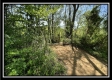 Tract 4 – Wayne National Retreat property photo