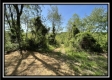 Tract 4 – Wayne National Retreat property photo