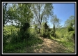 Tract 4 – Wayne National Retreat property photo