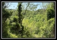 Tract 4 – Wayne National Retreat property photo