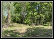 Tract 4 – Wayne National Retreat property photo