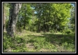 Tract 4 – Wayne National Retreat property photo