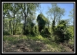Tract 4 – Wayne National Retreat property photo