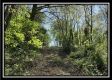 Tract 4 – Wayne National Retreat property photo