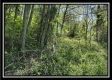 Tract 4 – Wayne National Retreat property photo
