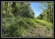Tract 4 – Wayne National Retreat property photo