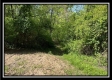 Tract 4 – Wayne National Retreat property photo