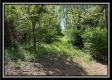Tract 4 – Wayne National Retreat property photo