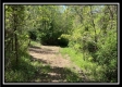 Tract 4 – Wayne National Retreat property photo