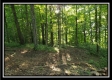 Tract 2 - Winner Lane property photo