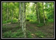 Tract 2 - Winner Lane property photo