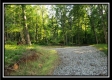 Tract 2 - Winner Lane property photo