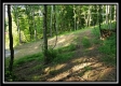 Tract 2 - Winner Lane property photo