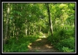 Tract 2 - Winner Lane property photo